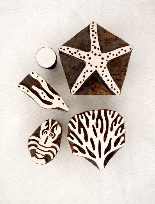 Conjunto Fitoplancton