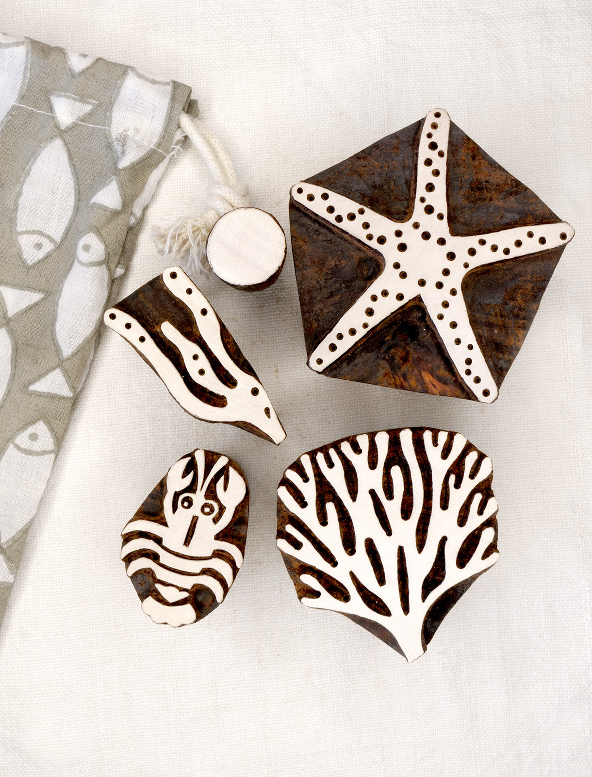 Conjunto Fitoplancton