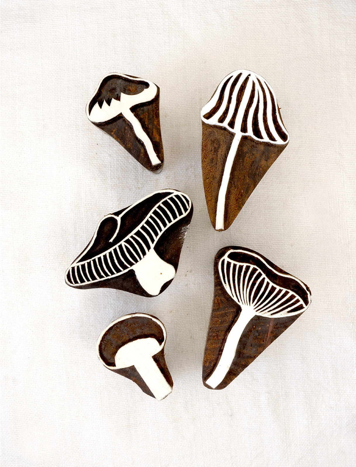 Conjunto Fungi