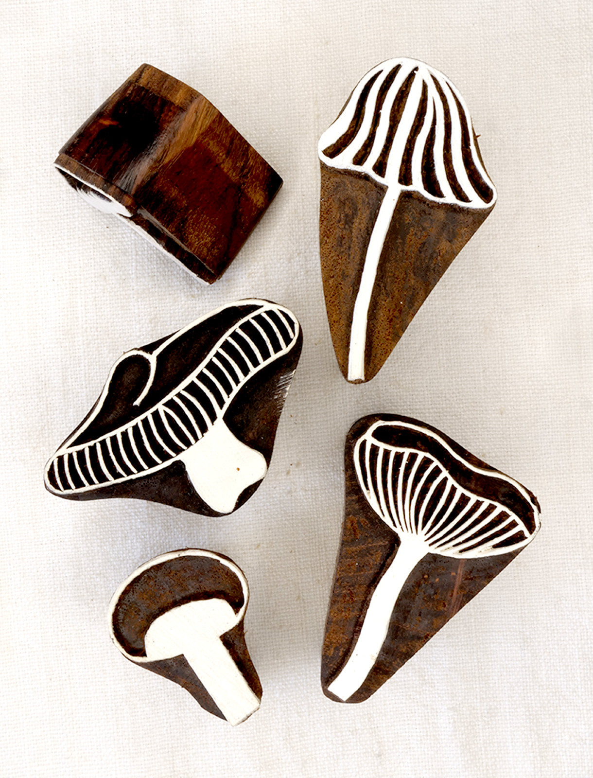 Conjunto Fungi
