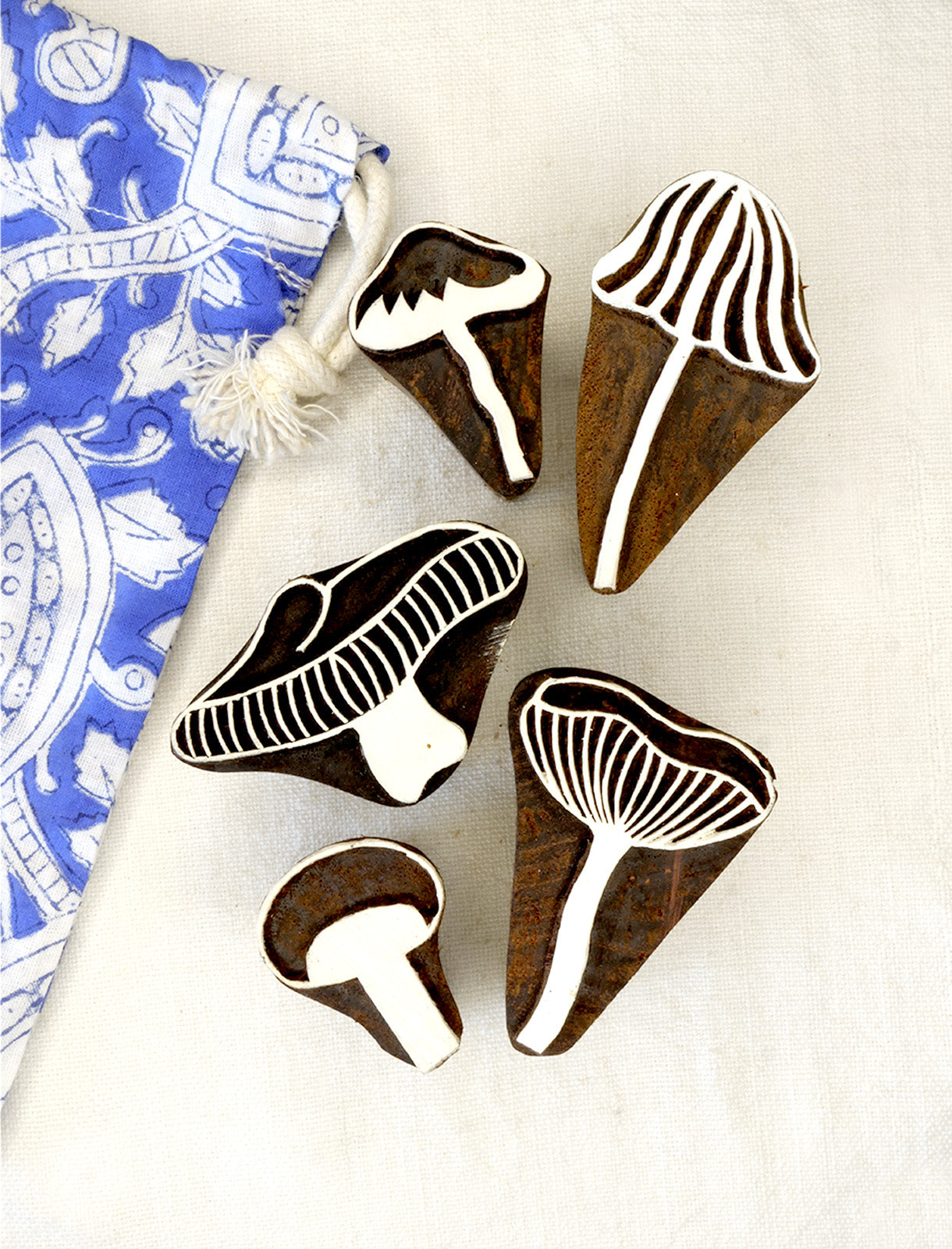 Conjunto Fungi