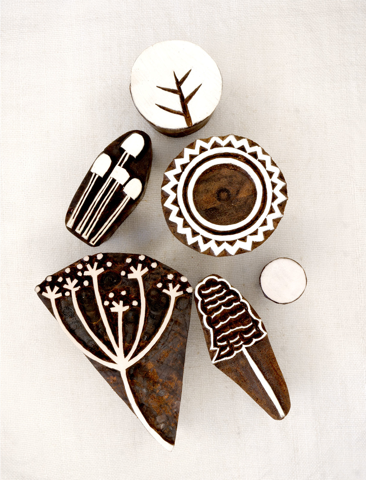 Conjunto Jardim