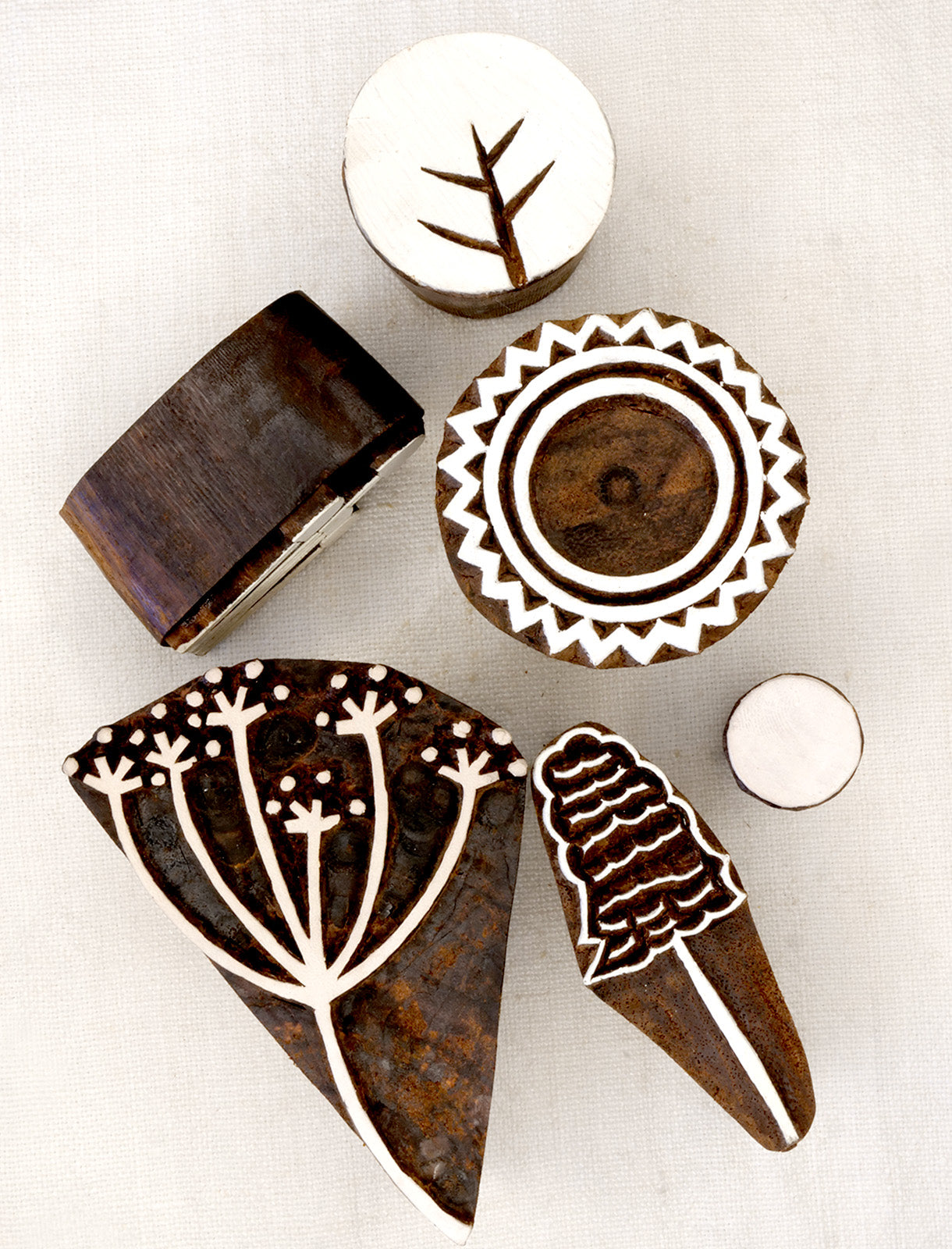 Conjunto Jardim