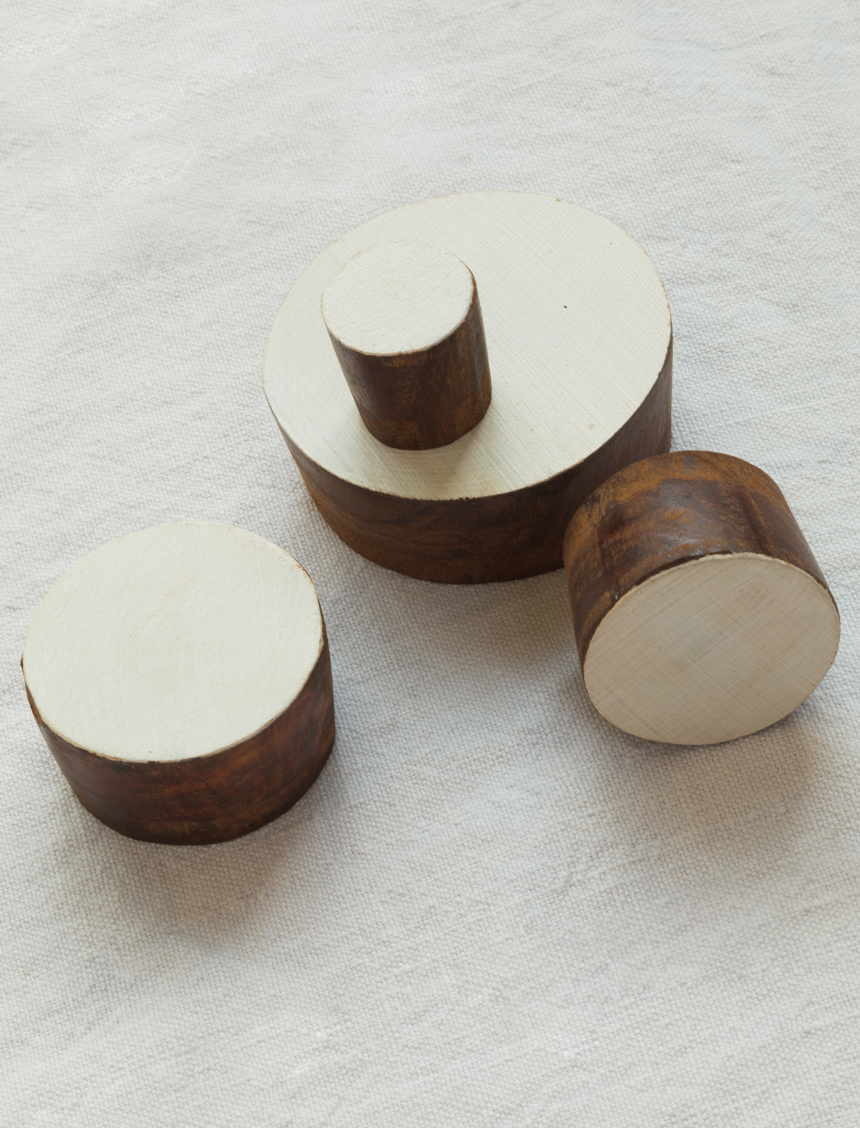 Conjunto de Blocos Círculos